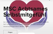 Artikelbild zu 'MSC auf Insight Timer'